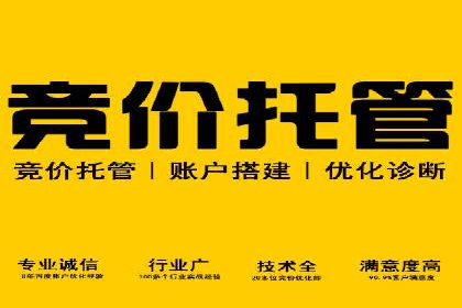 百度竞价排名策略优化：某公司广告投放效果翻倍的秘诀